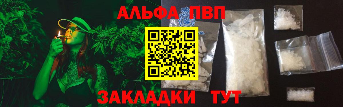 Альфа ПВП СК КРИС Светлоград