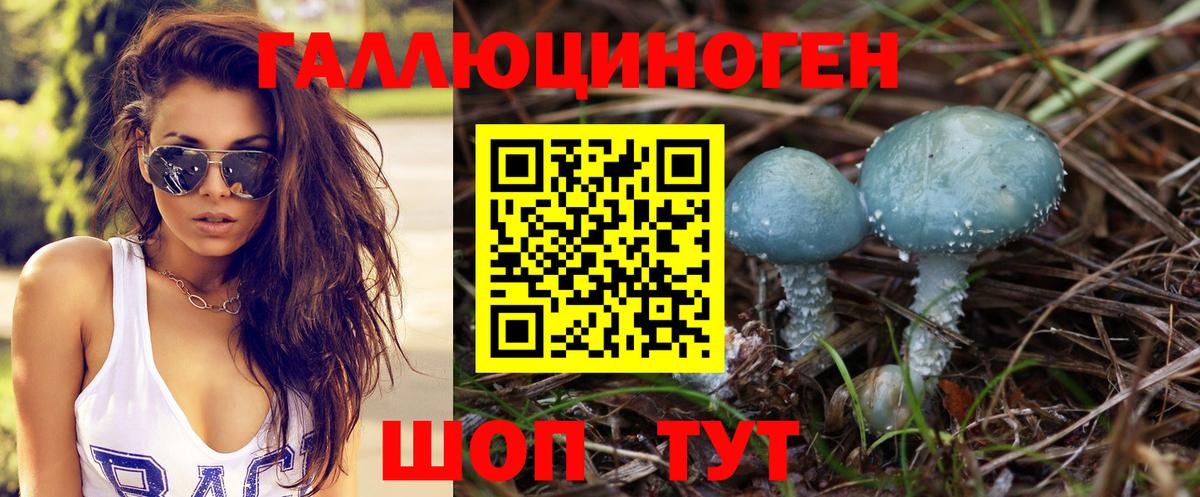 Псилоцибиновые грибы мухоморы Светлоград