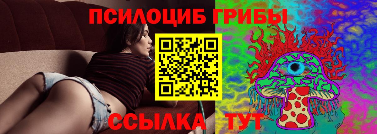 Светлоград  Псилоцибиновые грибы Psilocybine cubensis  Псилоцибиновые грибы Psilocybine cubensis  Вход с VPN 